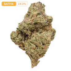 Bahama Blizzard 3.5G