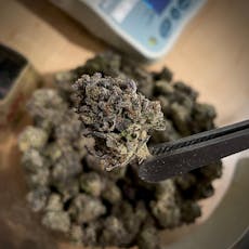 Scoops (Smalls) by The Cannabis Collective / Bulk