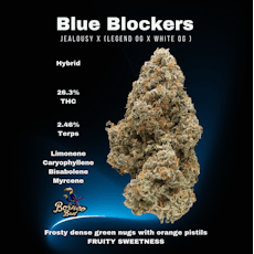 Blue Blockers - 14g