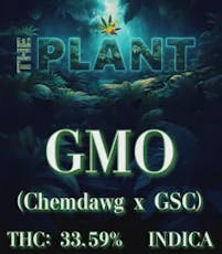 GMO (The Plant)
