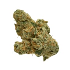 Blue Garlic (S- Silver)