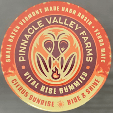 Gummy - 100MG - Vital Rise