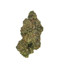 Cap Junky (H- Gold)