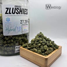 Zlushies (BBUDS) (I-H)