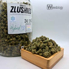 Zlushies (BBUDS) (I-H)