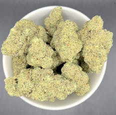 Beyond Broadway (I) Tropical G