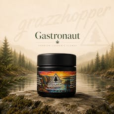 Gastronaut | TrailHead’s Premium Craft | 3.5g