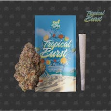 Seed Junky | Tropical Burst (S) | 1g Preroll Joint