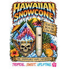 Hawaiian Snowcone Ecostar 1g Disposable Cart by Emerald Visions