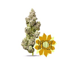 Spritzer ~ 3.5g (⅛ Oz)