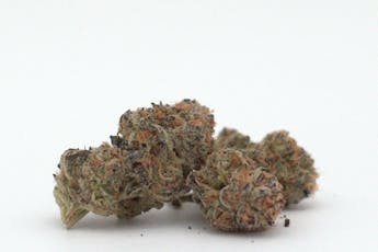 Modified Mintz Flower