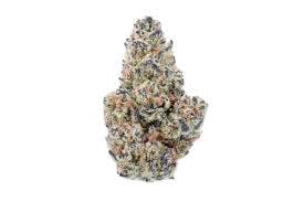 Flower - White widow (H)
