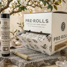 M3 - Orange Marmalade - .5g Preroll