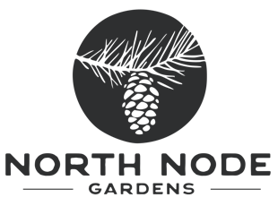 North Node Gardens - Lemon Pastries - Flower - 1/8oz