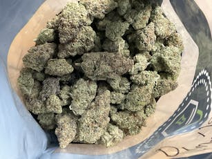 Gelato Driver 14 Grams