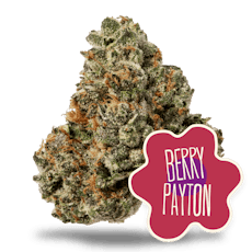 District Cannabis Berry Payton