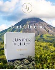 Juniper Jill | Dante's Inferno 3.5g Flower