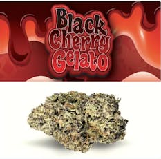 Black Cherry Gelato I 14g I Cookies