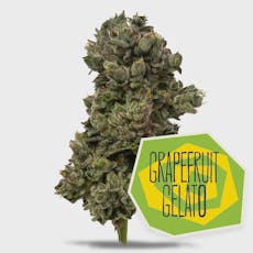 District Cannabis Grapefruit Gelato