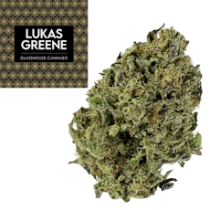 Hindu Kush (100% Indica Landrace)