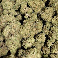 Dragon Thunder (Wicked Flower)