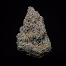 Black Maple
