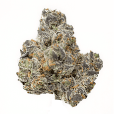 Campfire Cannabis | Apple Fritter