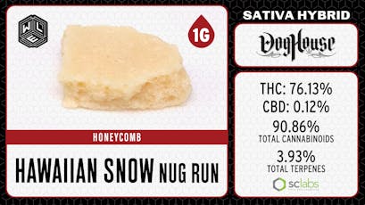 WLE - Hawaiian Snow (S) - Honeycomb Dab 1g