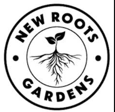 New Roots Gardens | Papaya Twist Rosin 1g