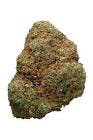 Flower - Golden Goat