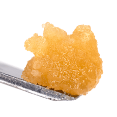 Grapefruit Gelato Badder 1g