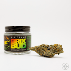 Soleil Levant by High Brix Cannabis/ Bulk