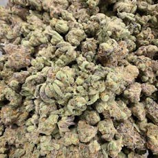 B Bud Funky Kitty (Hotbox Farms)