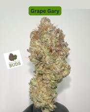 Grape Gary | 3.5g