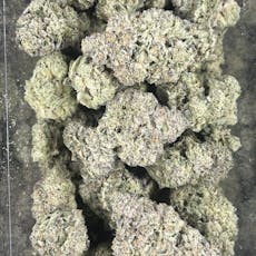 Gelato 25 x Dosidos (Resin Ranchers)
