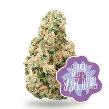 District Cannabis Super Silver Dawg