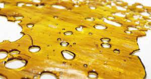 Grape Solo Burger Shatter 1g
