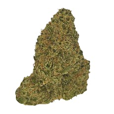 Apricot Scone(S-Gold)