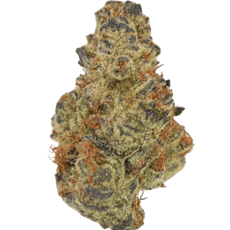 Bear Claw Kush