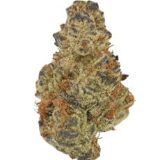 Bear Claw Kush