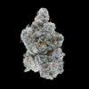 Flower - Secret Cookies (I)