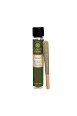 Tangie | 1g Pre-Roll | Sativa