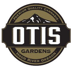 Secret Wedding (Otis Gardens)