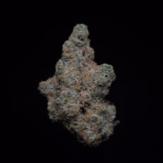 Black Hills Thunder