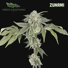 Zunami | 3.5g (Smalls)