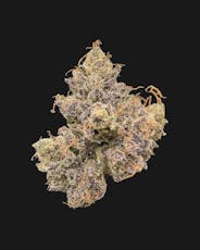 ADK - Black Maple (I) - Flower - 3.5g