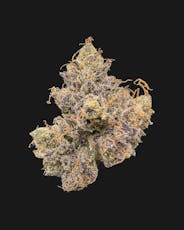 ADK - Black Maple (I) - Flower - 3.5g