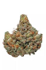 Flower - Master Kush (I)
