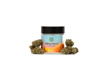 Rolling Green | Flower | Standard Jar | 3.5g | Big Detroit Energy