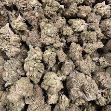 Rainbow Sherbert 11 (Milmar)